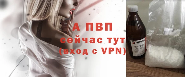 дживик Аркадак