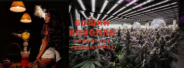 ECSTASY Арсеньев