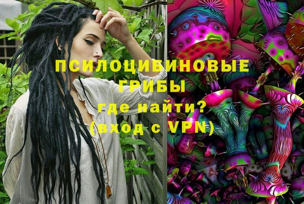 спиды Армянск