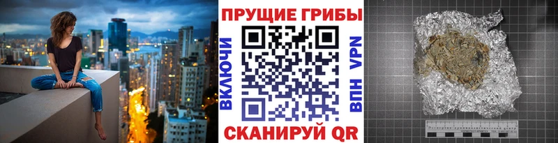 Псилоцибиновые грибы Cubensis  где можно купить наркотик  Пошехонье 
